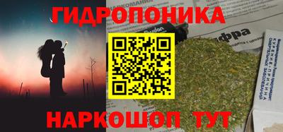 спайс Будённовск