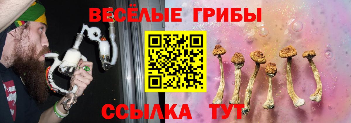 Галлюциногенные грибы Psilocybe  Галлюциногенные грибы Magic Shrooms  Вход с VPN  Химки 